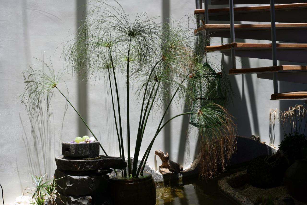Appartement Penghu Kite House à Magong Extérieur photo